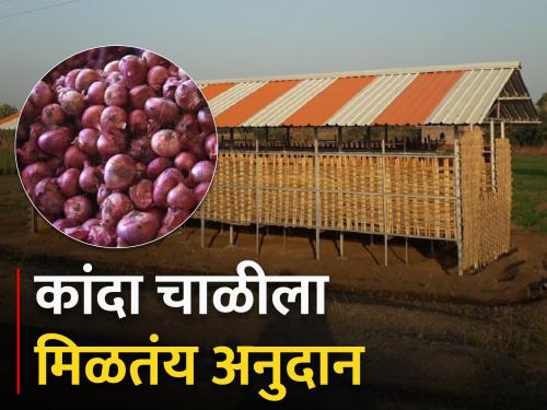 Onion Chaal Funding Scheme under National Horticulture Mission | Onion Storage; कांदा चाळीत साठवायचाय मग घ्या ह्या योजनेचा लाभ