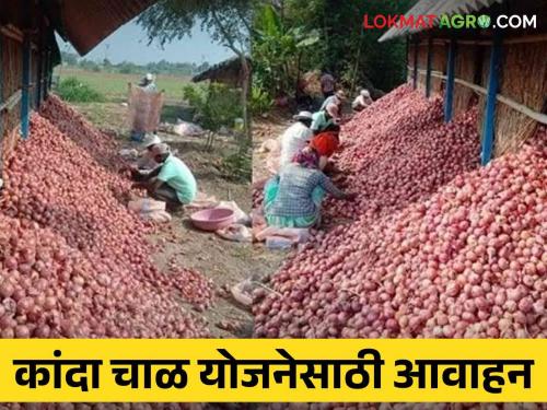 Latest News Call to apply for Kanda Chal Yojna, how to apply on mahadbt | Kanda Chal Yojna : कांदा चाळ योजनेसाठी अर्ज करण्याचे आवाहन, काय आहे ही योजना 