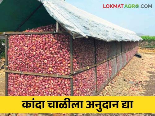 Kanda Mahabank : Give subsidy to onion chwal instead of expensive Kanda Mahabank | Kanda Mahabank : खर्चीक कांदा महाबँकेपेक्षा कांदा चाळीलाच अनुदान द्या