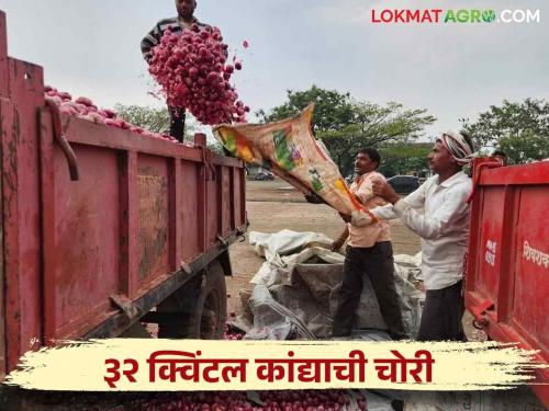 Latest News Onion Theft 32 quintals mean five lakhs rupees onion stolen in deola taluka farmer | Onion Theft : चोरांचा कांद्यावर डोळा, तब्बल साडे पाच लाखांचा कांदा ट्रॅक्टरसह पळवला! 