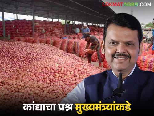 Latest News Kanda Rate Issue Chief Minister Fadnavis will discuss the onion issue with Central Government, read in detail | कांद्याच्या मुद्द्यावर मुख्यमंत्री फडणवीस करणार केंद्र सरकारशी चर्चा, वाचा सविस्तर 