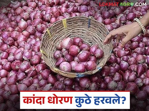 Latest news Kanda Issue new committee appointed to decide onion policy | कांदा धोरण ठरविण्यासाठी नव्याने समिती का नेमली, पणन मंत्री काय म्हणाले? 