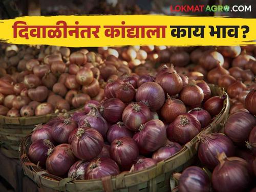 Latest News Kanda Bajarbhav onion market price in Lasalgaon market after Diwali Read in detail | Kanda Bajarbhav : दिवाळीनंतर लासलगाव कांदा मार्केटला काय भाव मिळाला? वाचा सविस्तर