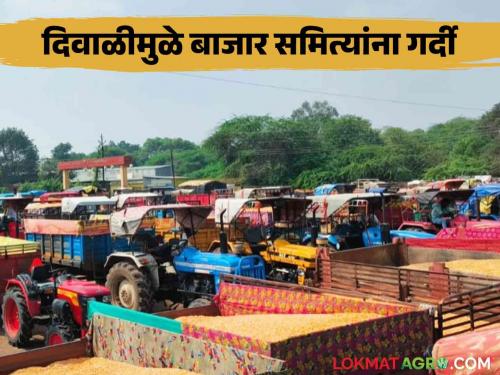 Diwali Kanda Market: Due to the Diwali festival, the arrival of onions increased, the Rameshwar Agricultural Market in Dewala continues today | Diwali Kanda Market : दिवाळी सणामुळे कांदा आवक वाढली, देवळ्यातील रामेश्वर कृषी मार्केट आजही सुरू