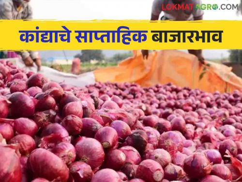 Latest News Kanda Market onion amrket price in last September week? Know in detail  | Kanda Market : मागील आठवडाभर कांद्याला काय भाव मिळाला? जाणून घ्या सविस्तर 