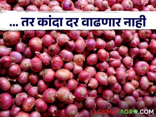 Latest news central government removed power of 'NAFED' to fix price of onion see details | Onion Issue : नाफेड आणि एनसीसीएफचा दर परवडणारा नाही, त्यापेक्षा... शेतकरी काय म्हणाले? 