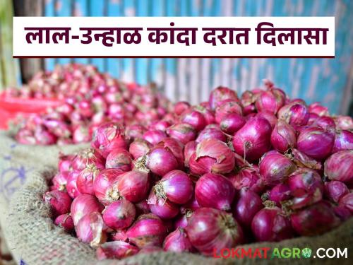 Latest News 07 june 2024 Todays Onion bajarbhav Market price in market yards check here | Onion Bajarbhav : उन्हाळ कांद्याची एक लाख क्विंटलची आवक, आज काय भाव मिळाला? वाचा सविस्तर