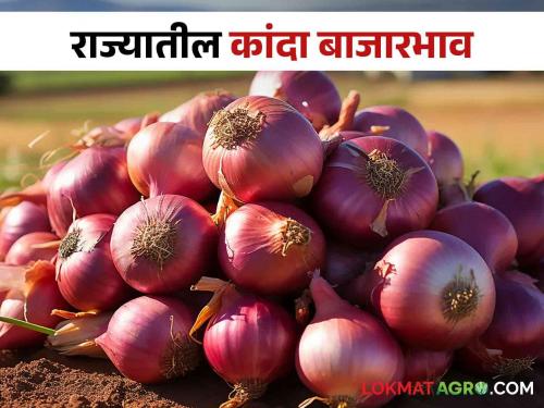 Latest News Kanda Bajarbhav todays onion Market price in Lasalgaon kanda market see details | Kanda Bajarbhav : लासलगाव बाजारात उन्हाळ कांद्याला काय भाव? वाचा आजचे बाजारभाव