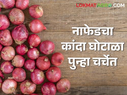 Latest News Agriculture News Onion Scam of NAFED will be heard in Maratha-Kunbi Mahasabha session, read in detail  | Agriculture News : मराठा-कुणबी महासभा अधिवेशनात नाफेडचा कांदा घोटाळा गाजणार, वाचा सविस्तर 