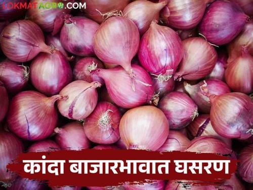 Latest News Kanda Bajarbhav onion market price summer onion in Lasalgaon market check here | Kanda Bajarbhav : लासलगाव बाजारात उन्हाळ कांद्याला काय भाव मिळाला? वाचा आजचे बाजारभाव