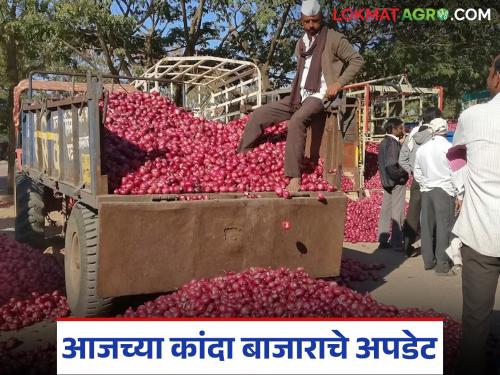 Latest News Prices in Ahilyanagar, Nagpur onion market remain stable, see 30 august kanda market | Kanda Market : अहिल्यानगर, नागपूर कांदा मार्केटमधे दर टिकून, इतर बाजारात काय परिस्थिती? 