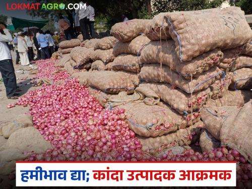 Guaranteed price for onions; Farmers take aggressive stance as expenses are not being covered through sales | कांद्याला हमीभाव द्या; विक्रीतून खर्च ही निघत नसल्याने शेतकऱ्यांनी घेतली आक्रमक भूमिका