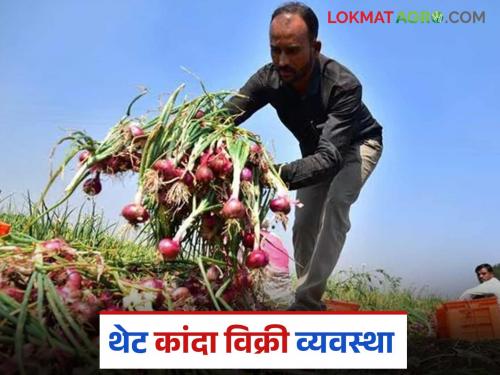Latest news Kanda Market Farmers' onions will be sold without any middlemen, read in detail | Kanda Market : शेतकऱ्यांचा कांदा कोणत्याही मध्यस्थांशिवाय विक्री होणार, वाचा सविस्तर 