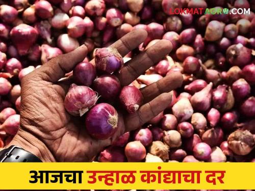 Latest News Kanda Bajarbhav todays summer market price in Nashik, Ahmednagar read in details | Kanda Bajarbhav : नाशिक, अहमदनगरला उन्हाळ कांद्याची आवक किती झाली? वाचा आजचे बाजारभाव