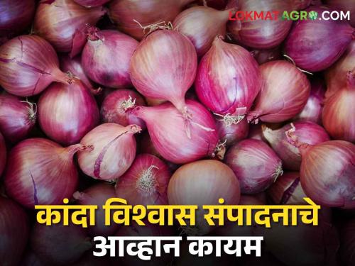 Latest News Now focus on solving the problems of onion farmers on nashik and maharashtra | Onion Issue : आतातरी कांदा उत्पादकांचा विश्वास संपादनाचे आव्हान पेलणार काय? वाचा सविस्तर