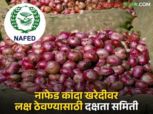Latest News nafed kanda kharedi Vigilance Committee to monitor procurement centers of NAFED NCCF | नाफेड, एनसीसीएफच्या खरेदी केंद्रांवर नजर ठेवण्यासाठी दक्षता समिती, समितीत कोण-कोण? 