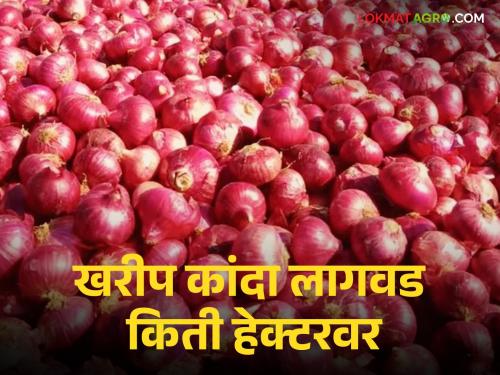 Latest News Onion cultivation is recorded on 70 thousand hectares in maharashtra see details | Onion cultivation : राज्यात 70 हजार हेक्टरवर खरीप कांदा लागवड, कोणता जिल्हा आघाडीवर?