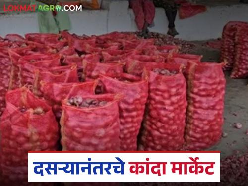 latest news kanda market see onion market prices in Lasalgaon kanda market after Dasara | Kanda Market : दसऱ्यानंतर लासलगाव कांदा मार्केटमध्ये कांद्याला काय दर मिळाले, वाचा सविस्तर 