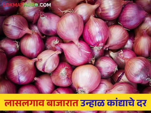 Latest News Kanda Bajarbhav todays onion market price in Lasalgaon kanda market | Kanda Bajarbhav : लासलगाव बाजार समितीत उन्हाळ कांद्याला काय भाव मिळाला? वाचा आजचे बाजार भाव