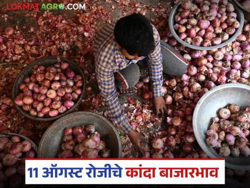 Latest news Kanda Market onion prices today on August 11 in nashik district with maharashtra | Kanda Market : तिसऱ्या श्रावणी सोमवारी नाशिकच्या कांद्याला काय भाव मिळाले? वाचा सविस्तर