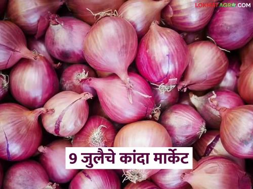Latest News kanda Market onion prices in Nashik, Pune, Ahilyanagar districts on July 9 | Kanda Market : 09 जुलै रोजी नाशिक, पुणे, अहिल्यानगर जिल्ह्यात कांद्याला काय दर मिळाला? 