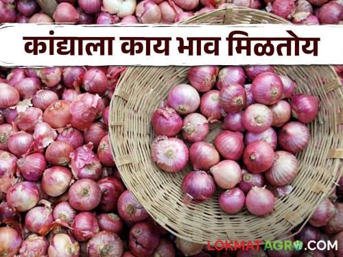 Latest News Kanda Market onion market price on eve of Dasara in Nashik see details | Kanda Market : नाशिकमध्ये दसऱ्याच्या पूर्वसंध्येला कांद्याला काय भाव मिळाला? वाचा आजचे बाजारभाव