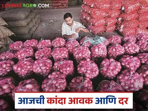 latest News Kanda Bajar Bhav Ahilyanagar, Nashik district Unhal Kanda arrival increased | Kanda Market : अहिल्यानगर, नाशिक जिल्ह्यात उन्हाळ कांदा आवक वाढली, काय दर मिळतोय?