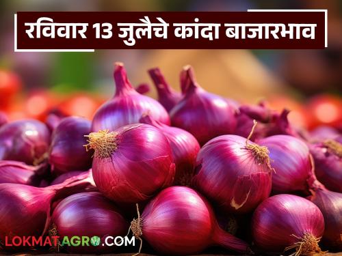 Latest news Kanda Market average market price of onion on Sunday, July 13 Read in detail | Kanda Market : रविवार 13 जुलै रोजी कांद्याला सरासरी काय भाव मिळाला? वाचा सविस्तर 