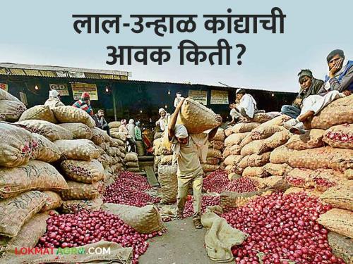 Latest News Kanda Bajarbhav How much was arrival of onion in Nagar, Nashik kanda market | Kanda Bajarbhav : नगर, नाशिक बाजारात कांद्याची आवक किती झाली? वाचा आजचे बाजारभाव 