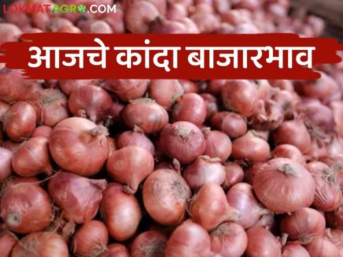 Latest News Kanda Bajarbhav 14 oct 2024 onion market price Solapur and Nashik kanda market | Kanda Bajarbhav : सोलापुरात लाल, तर नाशिकमध्ये उन्हाळ कांद्याला काय भाव? वाचा आजचे बाजारभाव