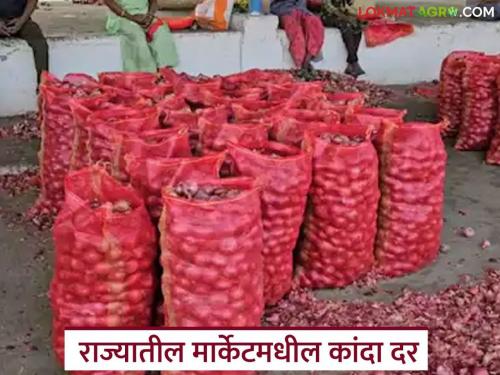 Latest News Kanda Market see todays onions prices in Lasalgaon, Solapur, Pune onion market | Kanda Market : लासलगाव, सोलापूर, पुण्यात काय दर मिळाले, वाचा आजचे कांदा मार्केट 
