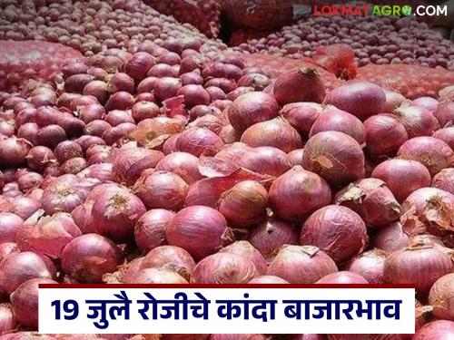 Latest News Kanda Market Down In Lasalgaon and nashik see onion market price on July 19 | Kanda Market : नाशिक आणि लासलगाव बाजारात दर घसरले, वाचा 19 जुलै रोजीचे कांदा बाजारभाव