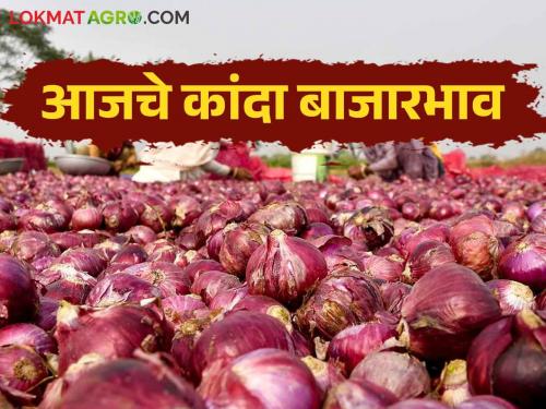 Latest news Kanda Bajarbhav onion market price in Nagpur's Ramtek kanda market see details | Kanda Bajarbhav : नागपूरच्या रामटेक बाजारात उन्हाळ कांद्याला काय भाव? वाचा आजचे बाजारभाव