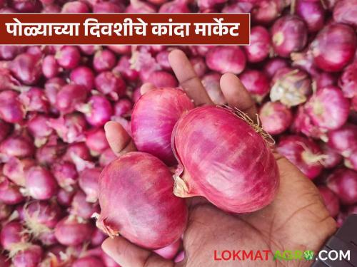 Latest News Kanda Market see onion price per quintal on Bailpola see details | Kanda Market : बैलपोळ्याला कांद्याला क्विंटलमागे काय दर मिळाले, वाचा सविस्तर बाजारभाव