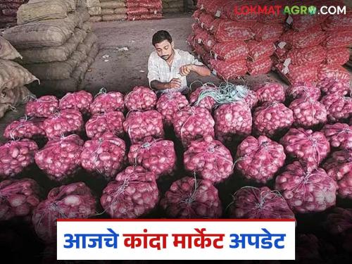 Latest News Kanda Bajar Bhav Solapur Onion Market Update with Lasalgaon Today, May 26 | Kanda Bajar Bhav : मेच्या शेवटी लासलगाव कांदा मार्केटमध्ये काय दर मिळतोय? वाचा सविस्तर 