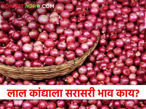 Onion Market: Summer onion fell, where did you get the price today? Read in detail | Onion Market : उन्हाळ कांदा घसरला, आज कुठे काय भाव मिळाला? वाचा सविस्तर