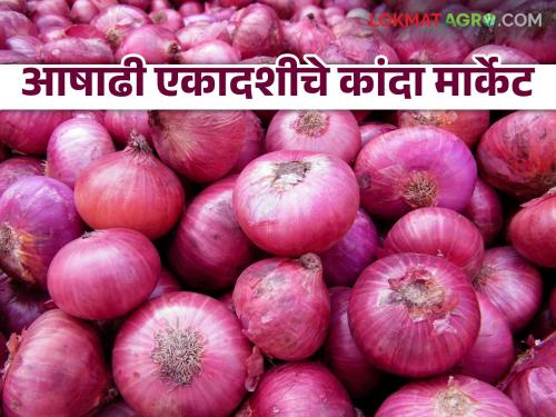 Latest News Kanda Market See unhal kanda market on Ashadhi Ekadashi Read today's market price | Kanda Market : आषाढी एकादशीला कांद्याला काय भाव मिळाला? वाचा आजचे बाजारभाव 