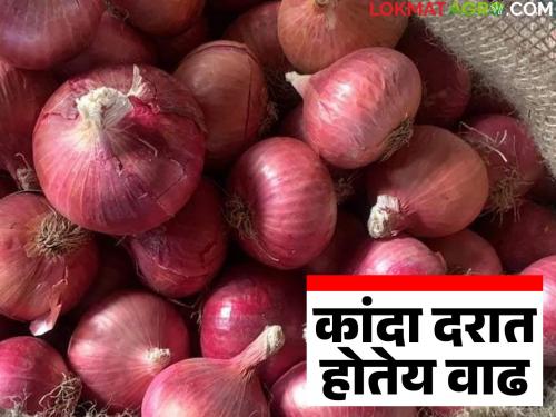 Kadna Bajar Bhav : Onion price increase in Parner Agricultural Produce Market Committee; How did the price get determined? | Kadna Bajar Bhav : पारनेर कृषी उत्पन्न बाजार समितीत कांद्याच्या दरात वाढ; कसा मिळाला दर?