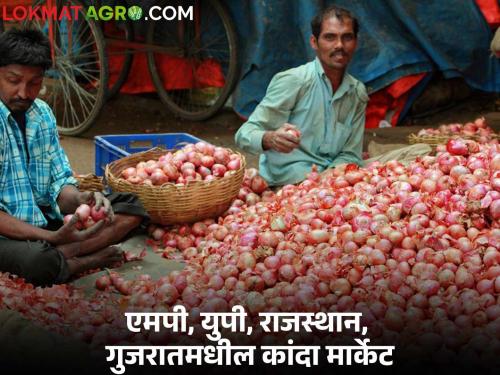 Latest news Kanda Market see onion prices in Madhya Pradesh, Uttar Pradesh, Gujarat, Rajasthan | Kanda Market : मध्यप्रदेश, उत्तरप्रदेश, गुजरात, राजस्थानात कांद्याला काय भाव मिळतोय? 