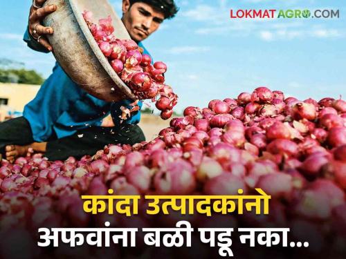 Latest News Onion rate Down rumor Do not fall prey to rumours, appeal to onion farmers | Onion Issue : अफवांना बळी पडू नका, कांदा उत्पादक शेतकऱ्यांना आवाहन, नेमकं प्रकरण काय? 