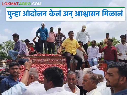 Latest news Agriculture News Farmers protest over onion price cut in pimpalgaon basawant market yard | Agriculture news : कांद्याचे अडीच कोटी थकवले, आंदोलन झाले, पुन्हा आश्वासन मिळाले!