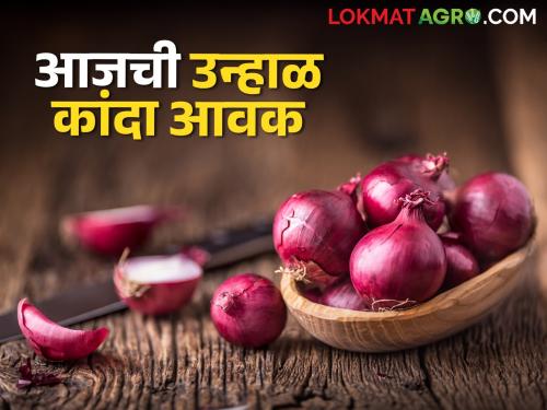 Kanda Bajarbhav Today's detailed market price of red onion in Nagpur market see details | Kanda Bajarbhav : नागपूर बाजारात लाल कांद्याचा दर टिकून, आजचे सविस्तर बाजारभाव