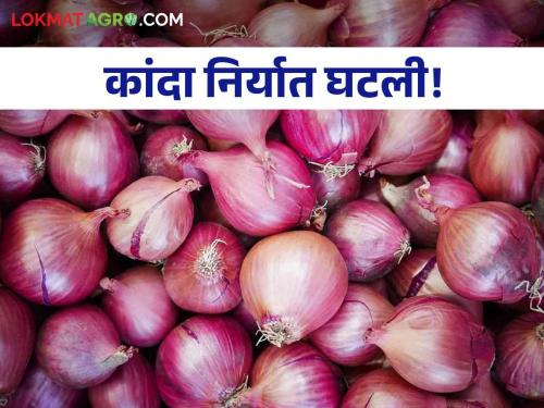 Latest News Onion Export first time in six-seven years export of onion is lowest, know in detail  | Onion Export : सहा- सात वर्षांत पहिल्यांदा कांद्याची निर्यात सर्वात कमी, जाणून घ्या सविस्तर 