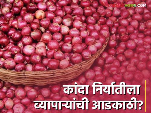 Latest News Obstacles of traders to onion export says Radhakrishna Vikhe Patil  | Onion Issue : कांदा व्यापाऱ्यांनीच शेतकऱ्यांना वेठीस धरलंय : राधाकृष्ण विखे पाटील 