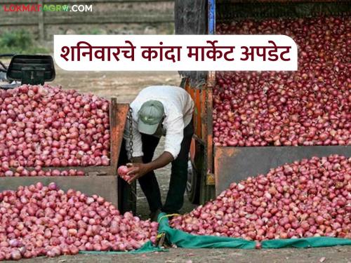 Latest News Kanda bajar Bhav onion price is affordable in Nashik district, see in Solapur and Pune districts | Kanda Market : नाशिक जिल्ह्यात कांदा दर दिलासायक, तर सोलापूर, पुणे जिल्ह्यात काय दर मिळतोय?