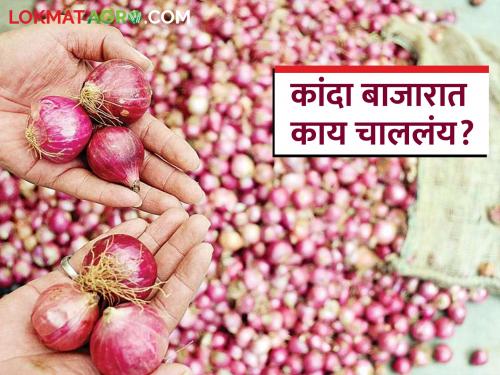 Latest News Relief in onion prices in Solapur, Lasalgaon markets see kanda bajarbhav | Kanda Bajar Bhav : सोलापूर, लासलगाव बाजारात कांदा दरात दिलासा, वाचा काय भाव मिळाला?