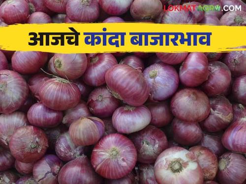 Latest News Kanda Bajarbhav Inflow of 31 thousand quintals in Solapur kanda market, todays nashik kanda market | Kanda Bajarbhav : सोलापूर बाजारात 31 हजार क्विंटलची आवक, वाचा आजचे कांदा बाजारभाव