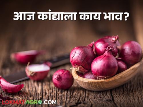 Latest News Kanda Bajarbhav Inflows increased in Solapur market, see Nashik market price read details | Kanda Bajarbhav : सोलापूर बाजारात आवक वाढली, तर नाशिक बाजारात... वाचा आजचे कांदा बाजारभाव 