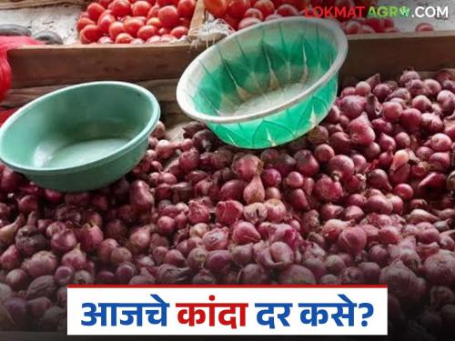 Latest News Kanda Market see unhal kanda market prices in Nashik compared to Ahilyanagar Read in detail | Kanda Market : अहिल्यानगरपेक्षा नाशिकमधील बाजारात कांद्याला काय दर मिळतोय? वाचा सविस्तर 