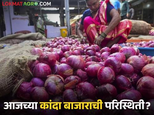 latest news kanda market todays 20 th august onion market prices in maharashtra | Kanda Market : राज्यात कांद्याची आवक किती झाली, आज काय दर मिळाले? वाचा सविस्तर 
